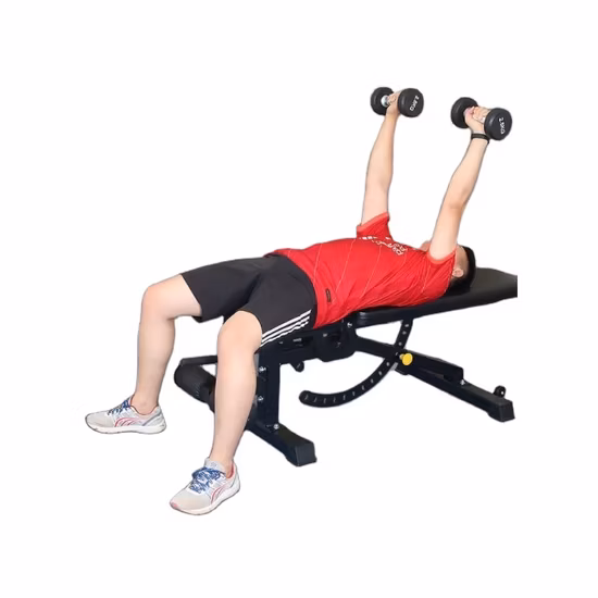 Strength Multifunction Adjustable Foldable Sit-up Board Bench