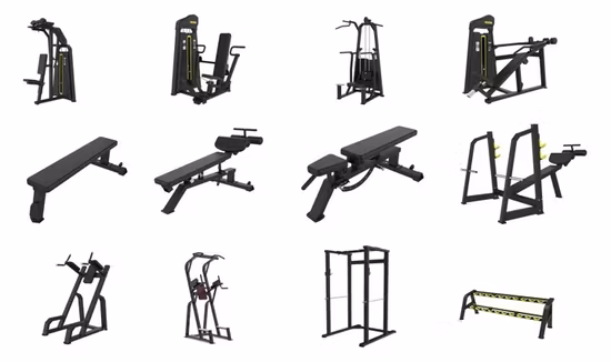 Sedia romana per allenamento muscolare multifunzione regolabile